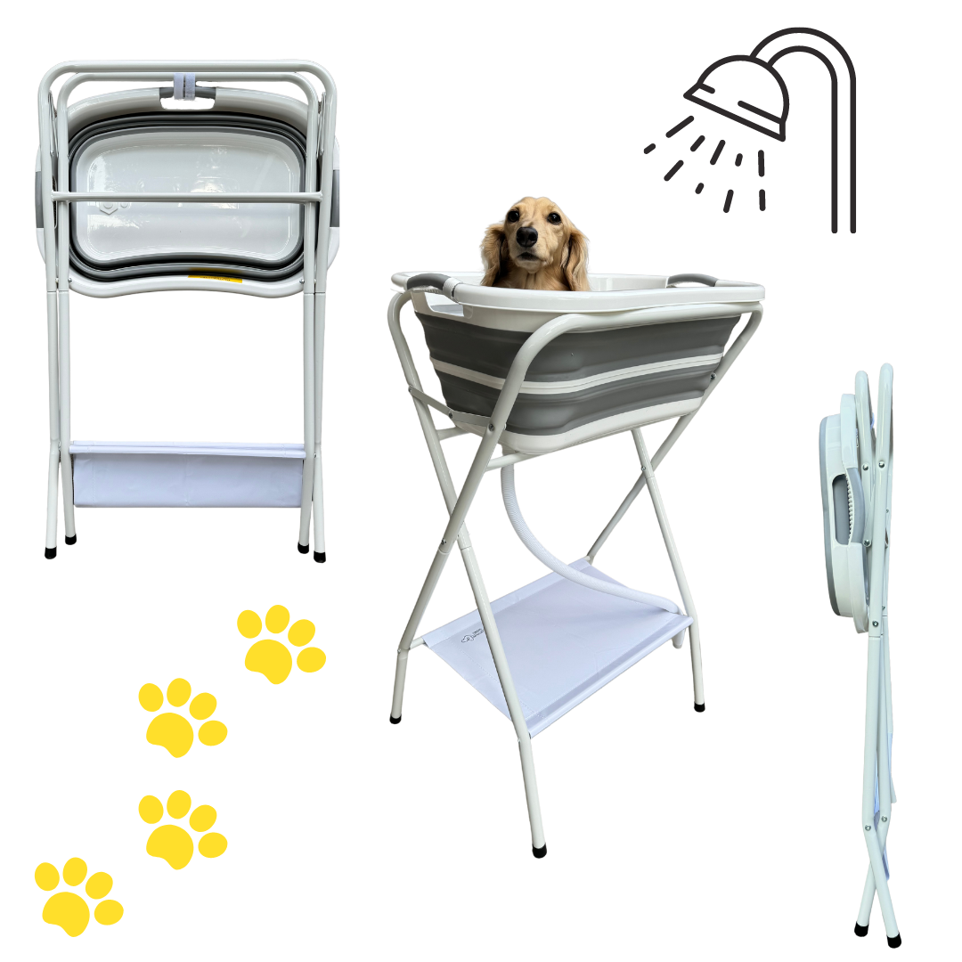 Collapsible pet shower stand with 2 in 1 function in white